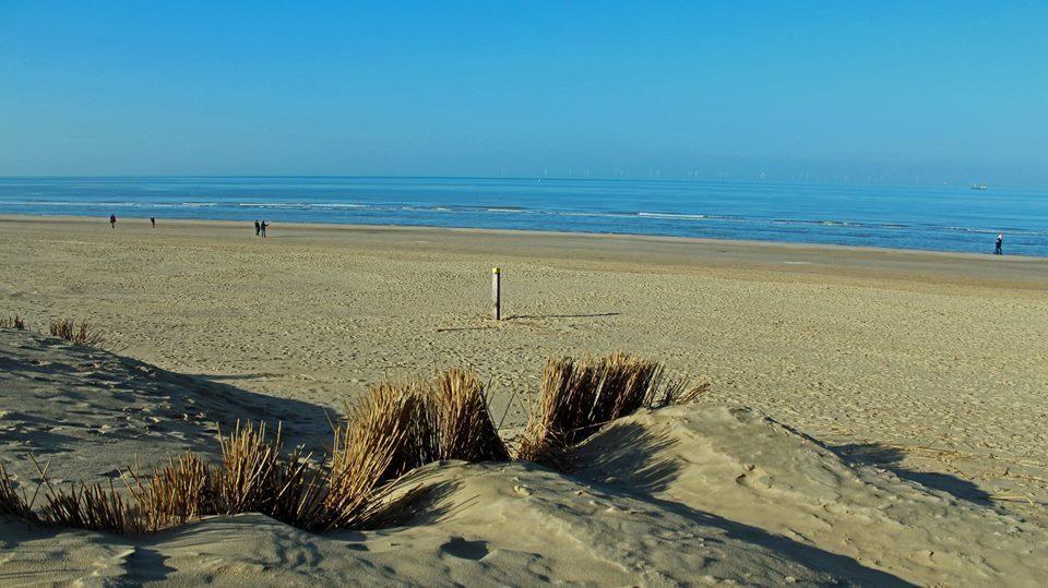 De Blaauboer, Vakantiehuisje إغموند آن زي المظهر الخارجي الصورة